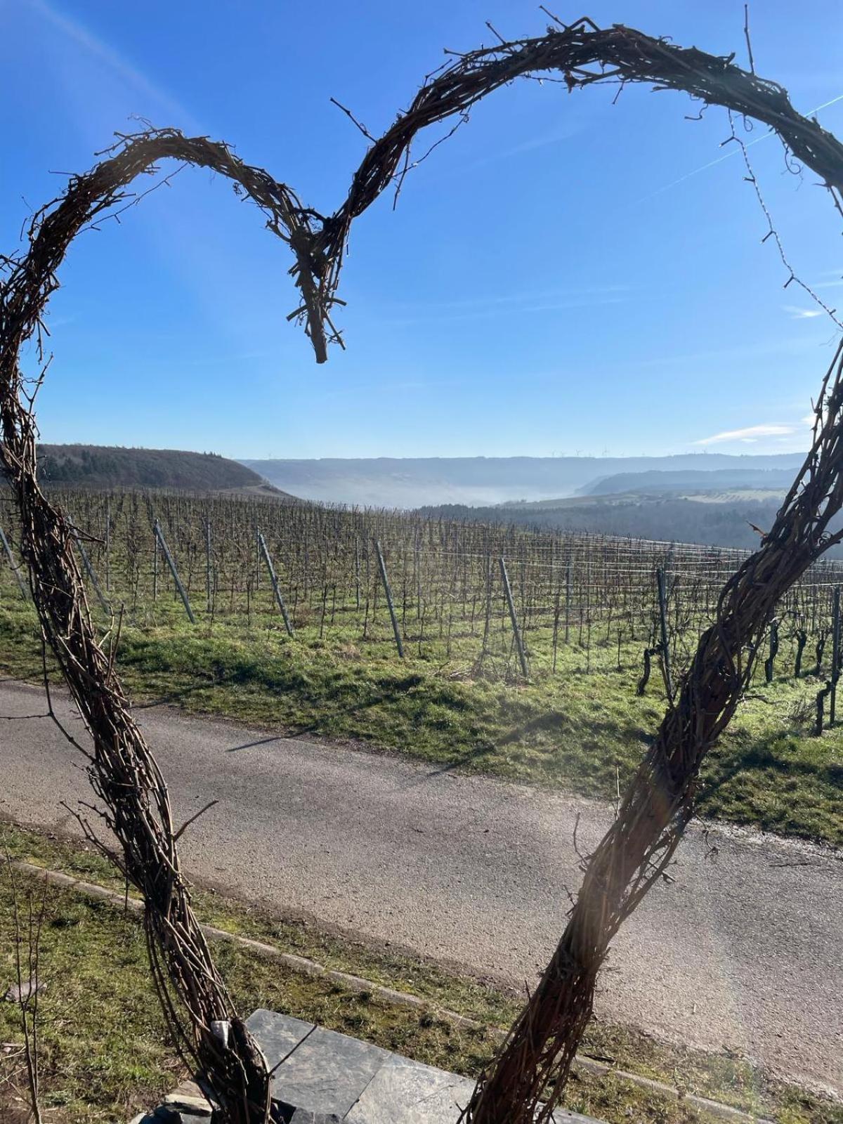 Fewo Waldblick - Urlaub Im Wein & Ferienort Bekond 外观 照片